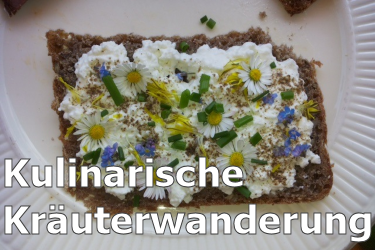 HE Kulinarische Kräuterwanderung