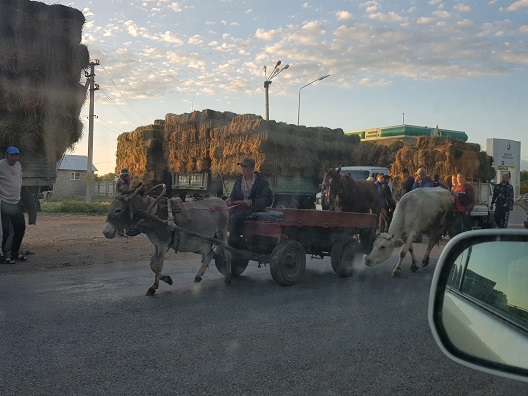 EHEMALIGE SCHÜLERIN BERICHTET: KIRGISISTAN – EINE REISE