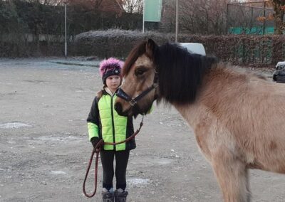 EIN PFERD ZU BESUCH IN KLASSE 4