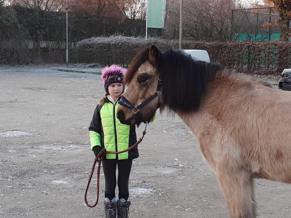 EIN PFERD ZU BESUCH IN KLASSE 4