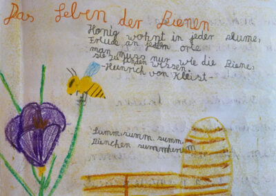 IMPRESSIONEN AUS DER BIENENEPOCHE KLASSE 2