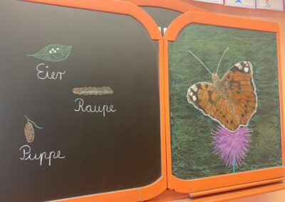 SCHMETTERLINGE IM KLASSENZIMMER