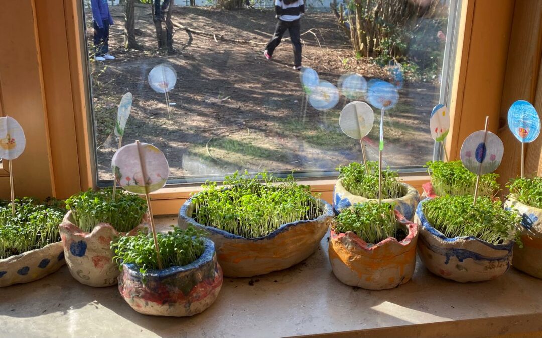 “HANDWERK, FARBE UND EIN KLEINES WUNDER DES WACHSENS”